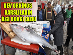 Kars'ta Dev Balık İlgi Odağı Oldu