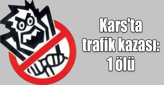 Kars'ta trafik kazası: 1 ölü