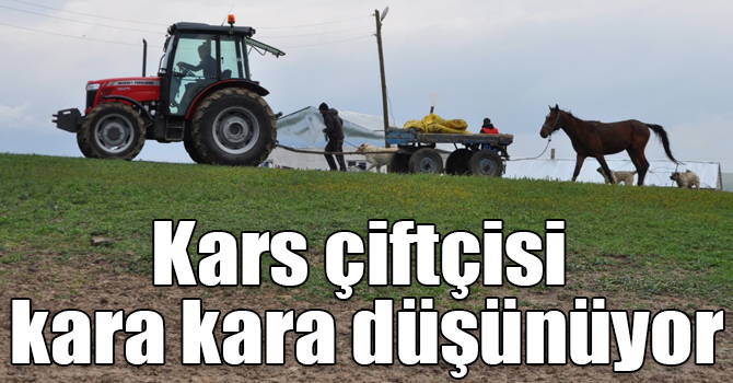 Kars çiftçisi kara kara düşünüyor