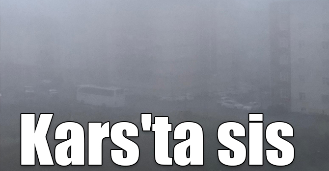 Kars'ta yoğun sis etkili oldu