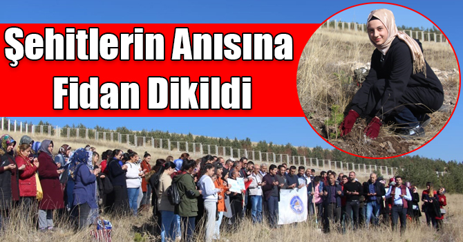 Kars'ta KYK'lı öğrenciler bin fidanı toprakla buluşturdu