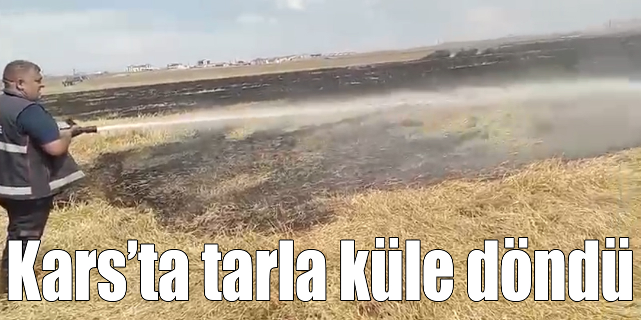 Kars’ta bir tarla küle döndü