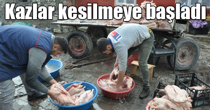Kars’ta kar yağdı, kazlar kesilmeye başladı