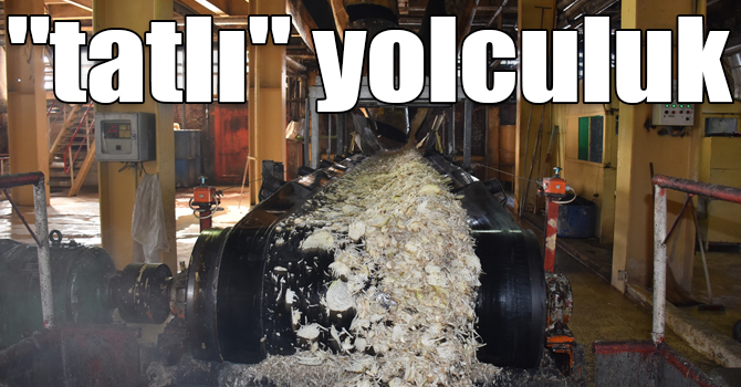 Pancarın şekere "tatlı" yolculuğu