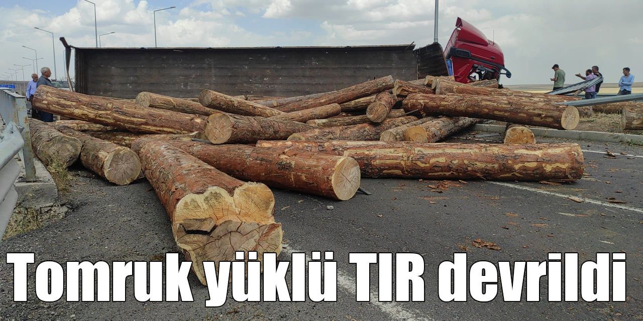 Tomruk yüklü TIR devrildi: 1 yaralı