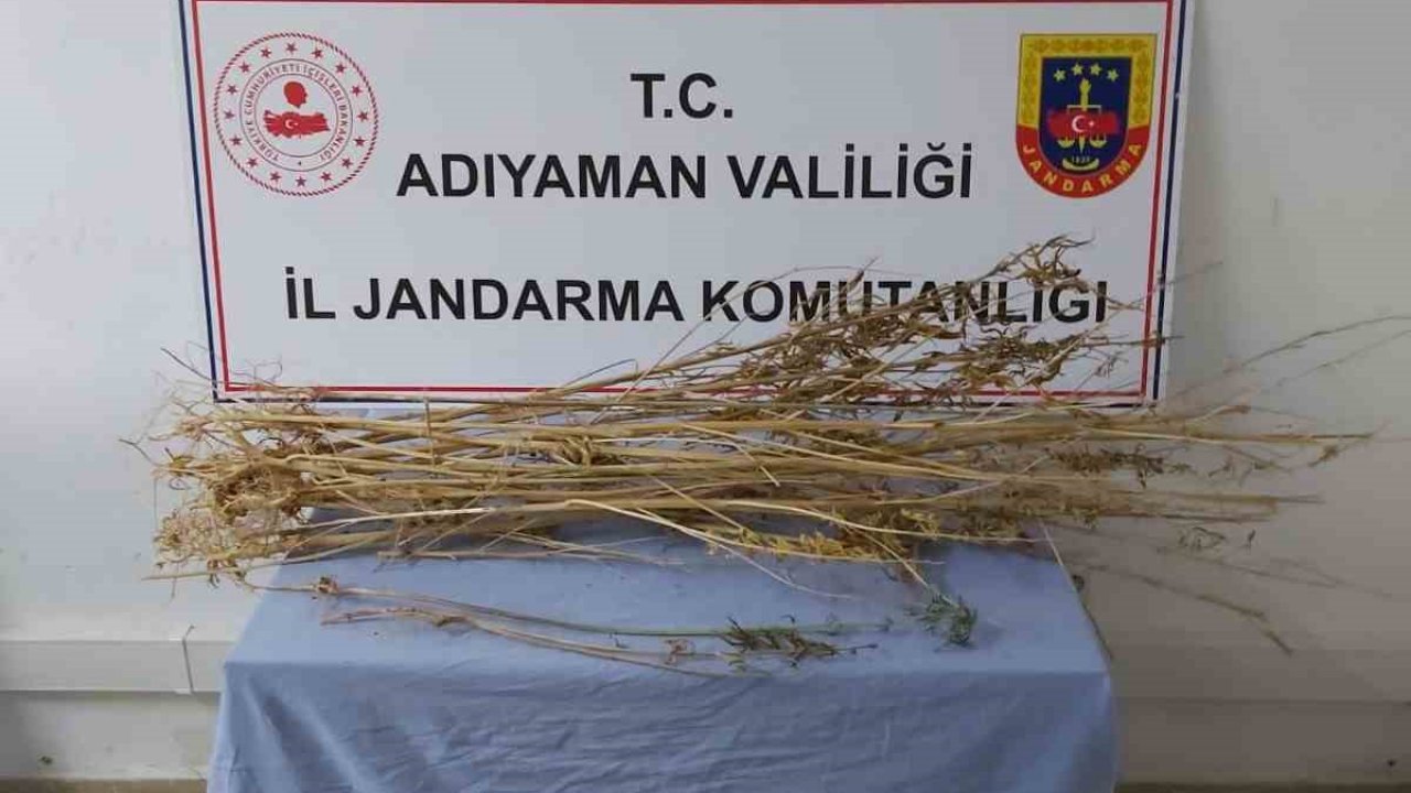 Adıyaman’da kubar esrar maddesi ele geçirildi