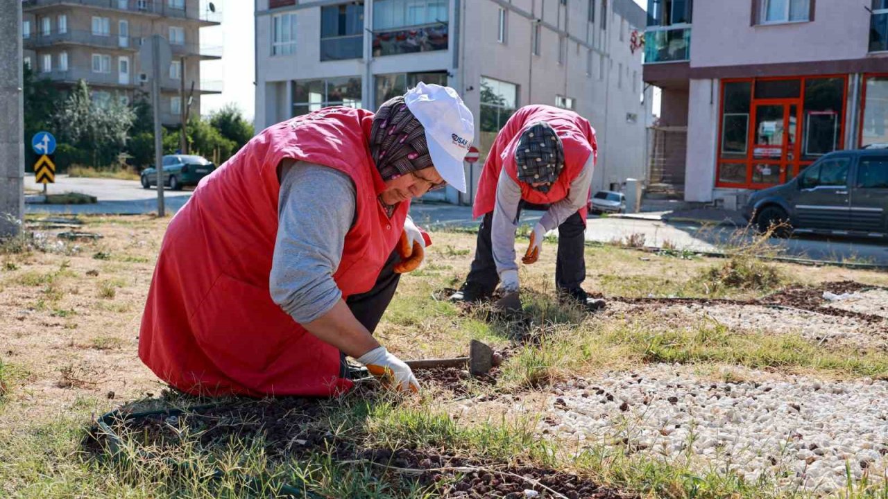 Uşak Belediyesi çevre düzenlenme çalışmaları devam ediyor