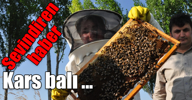 Kars balı coğrafi işaret aldı