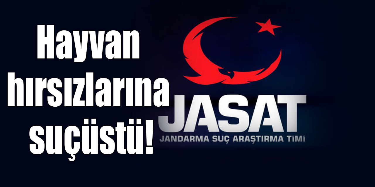 JASAT’tan hayvan hırsızlarına suçüstü!