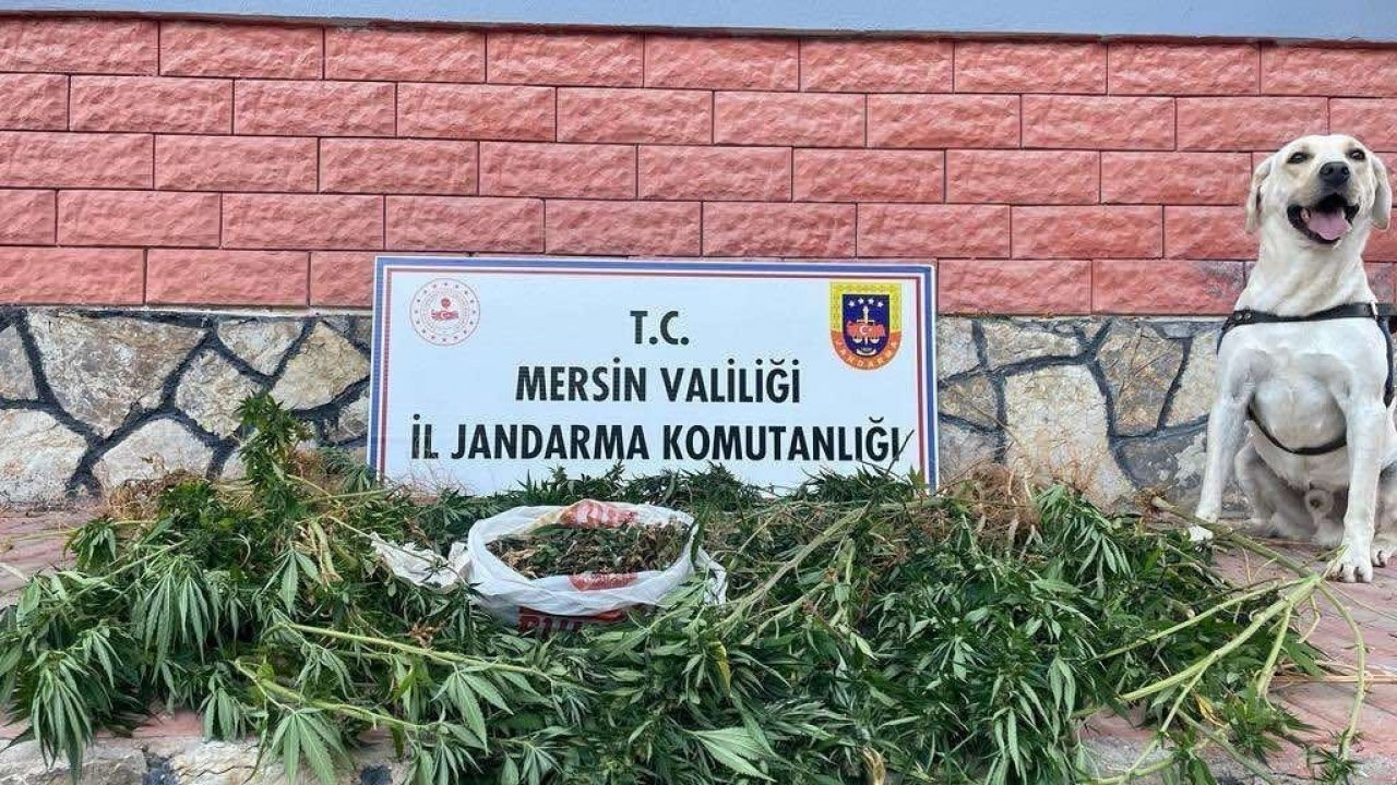 Mersin’de uyuşturucu operasyonu: 2 gözaltı