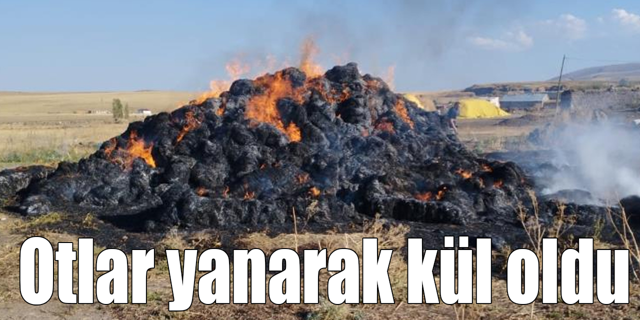 Kars’ta 20 ton ot yanarak kül oldu