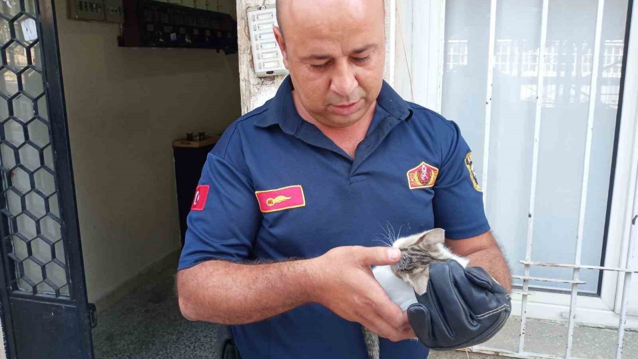 Bodrum havalandırmasına düşen yavru kediyi, itfaiye kurtardı