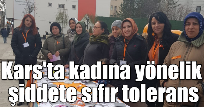 Kars'ta kadına yönelik şiddete sıfır tolerans