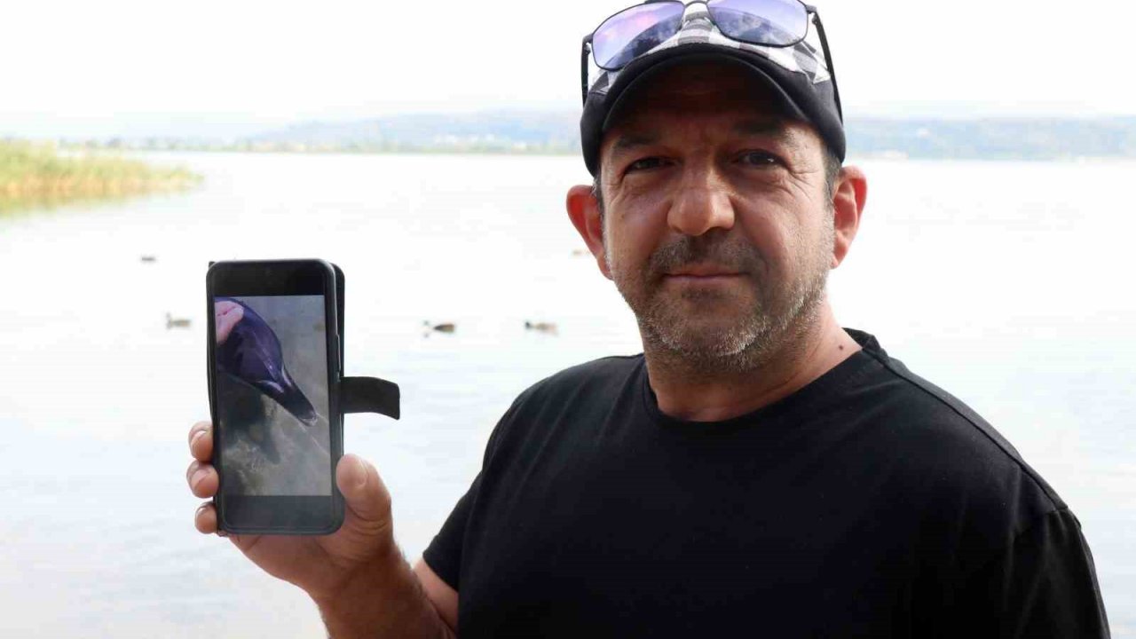 Yunus balığına fısıldayan adam