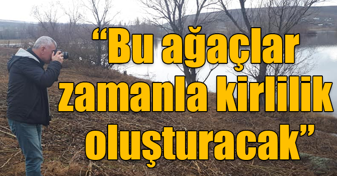 Mehmet Ali Kırpık: “Kars Barajı altında kalacak ağaçlar zamanla kirlilik oluşturacak”