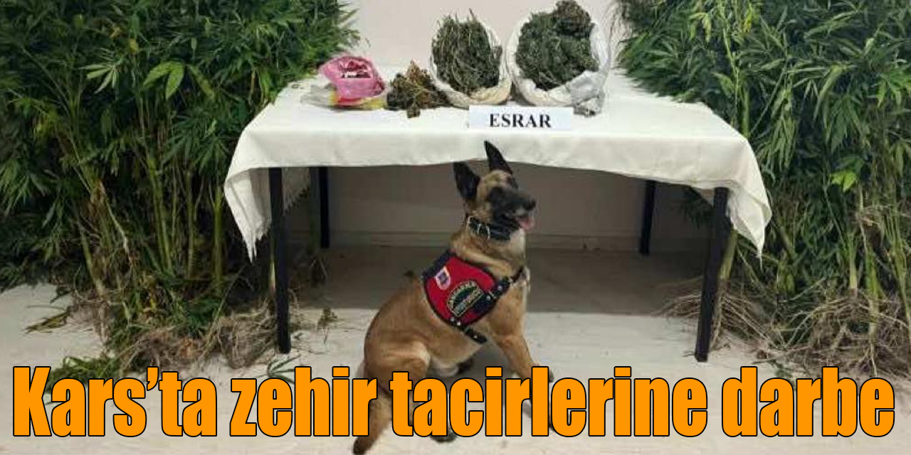 Kars’ta zehir tacirlerine darbe