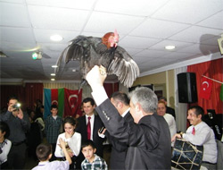 Yalova'da  Muhteşem Nevruz Toyu