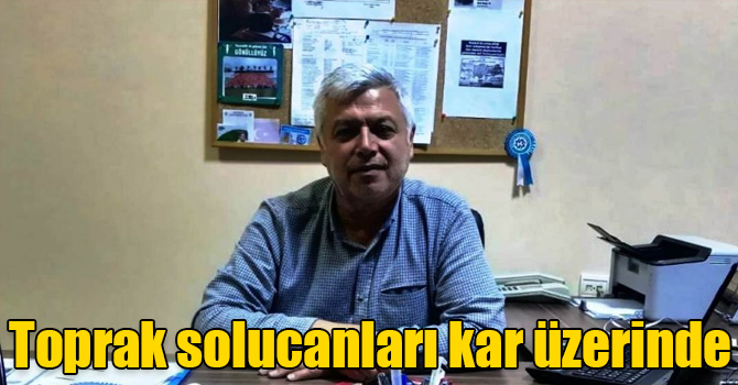 Toprak solucanları kar üzerinde