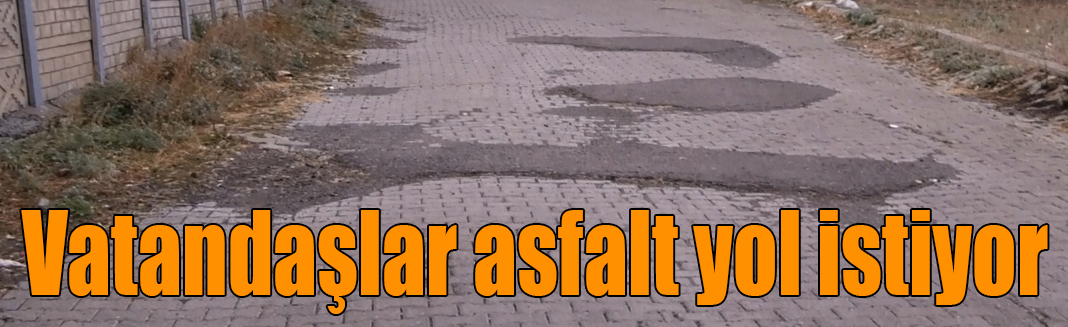 TOKİ sakinleri asfalt yol istiyor