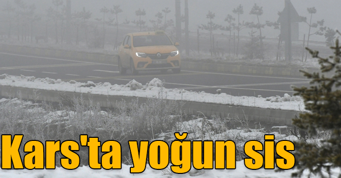 Kars'ta yoğun sis