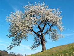 Kars'ta Nevruz Bayramı Etkinlikleri