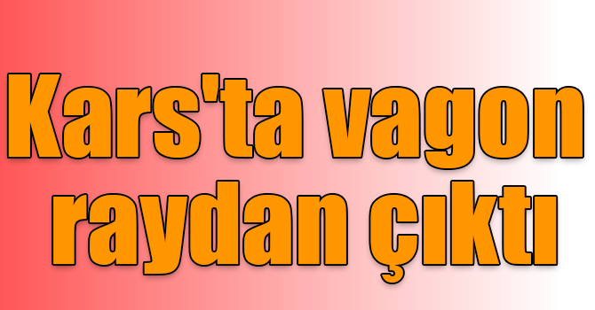 Kars'ta manevra yapan yük treninin vagonu raydan çıktı