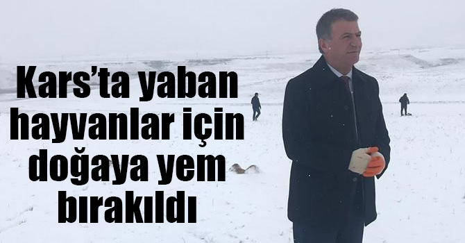 Kars’ta yaban hayvanlar için doğaya yem bırakıldı