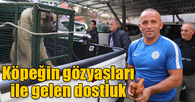 Bir köpeğin gözyaşları ile gelen dostluk