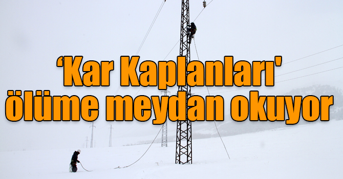 ‘Kar Kaplanları' ölüme meydan okuyor