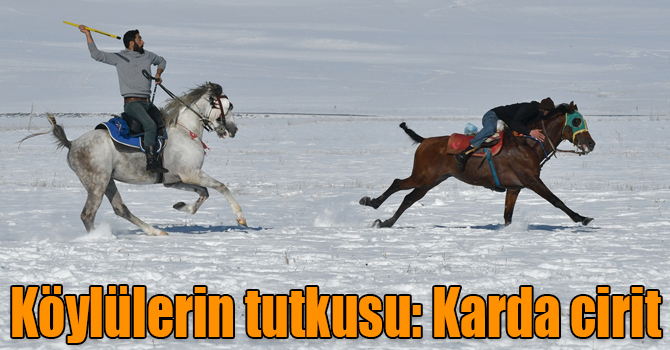 Kars'ta köylülerin tutkusu: Karda cirit