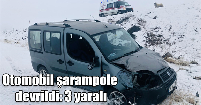 Kars'ta otomobil şarampole devrildi: 3 yaralı