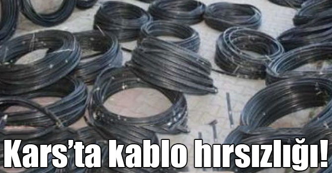 Kars’ta kablo hırsızlığı!