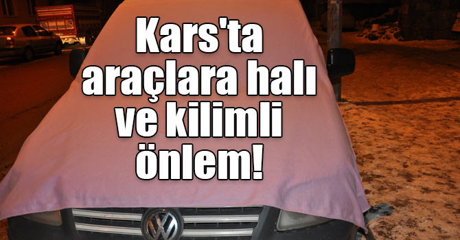 Kars'ta soğuktan korumak için araçlara halı ve kilimli önlem!