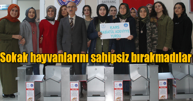 Kars'ta KYK öğrencileri sokak hayvanlarını sahipsiz bırakmadı