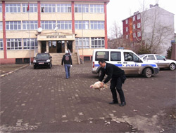 Selim'de Polis Hindi Peşinde