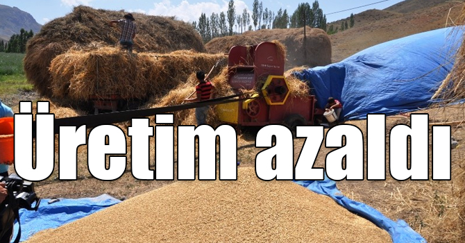 Ülke genelinde olduğu gibi, Kars’ta da tahıl üretimi azaldı