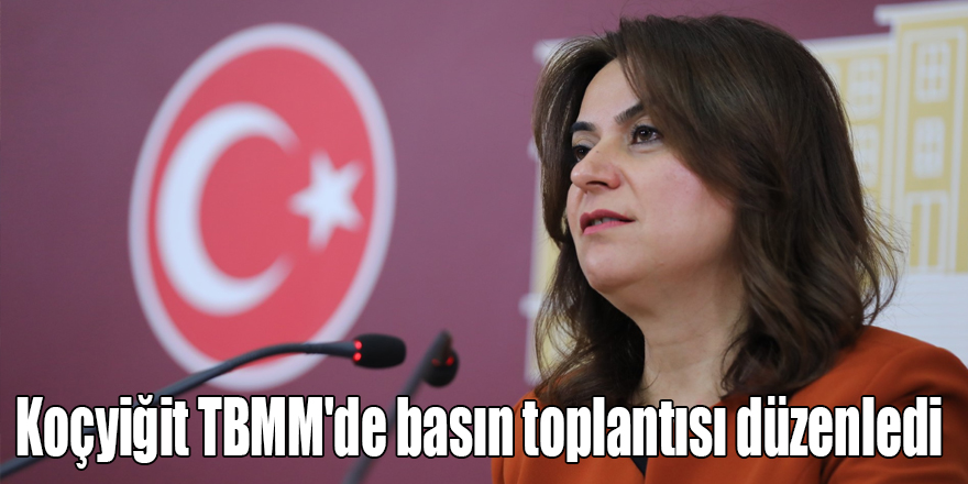 Koçyiğit TBMM'de basın toplantısı düzenledi