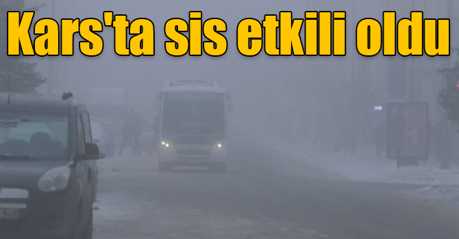 Kars'ta sis etkili oldu