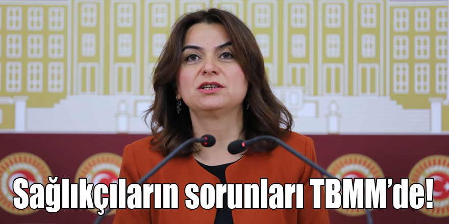 Koçyiğit, sağlıkçıların sorunlarını TBMM’ye taşıdı