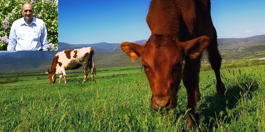Çiftçi Metin Aksoy “Hayvan Konforu”na dikkat etmeyen köylüleri eleştirdi...