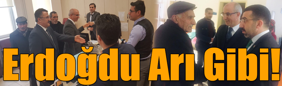 AK Parti'nin Kars Belediye Başkan Adayı Erdoğdu Arı Gibi!