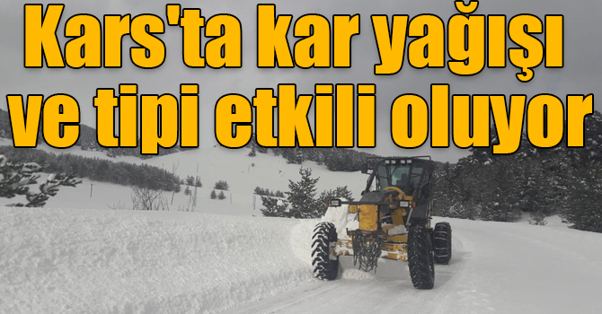 Kars'ta kar yağışı ve tipi etkili oluyor
