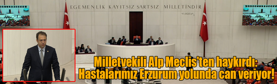 Milletvekili Alp Meclis'ten haykırdı: Hastalarımız Erzurum yolunda can veriyor!