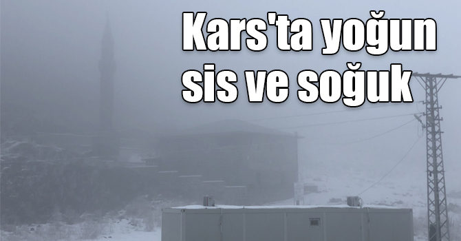 Kars'ta yoğun sis ve soğuk hayatı olumsuz etkiliyor