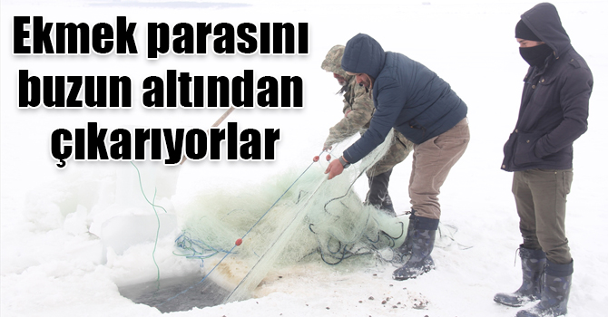 Kars'ta ekmek parasını buzun altından çıkarıyorlar