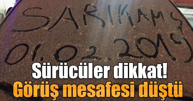 Sarıkamış yoğun kar yağışı, görüş mesafesi 15 metreye düştü