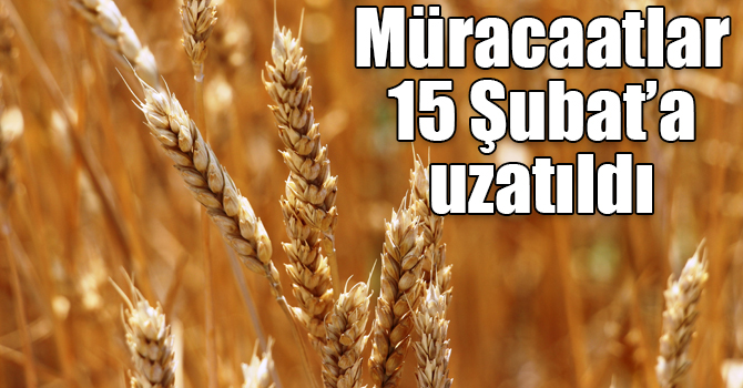 Kuraklık sigortası müracaatları 15 Şubat’a uzatıldı