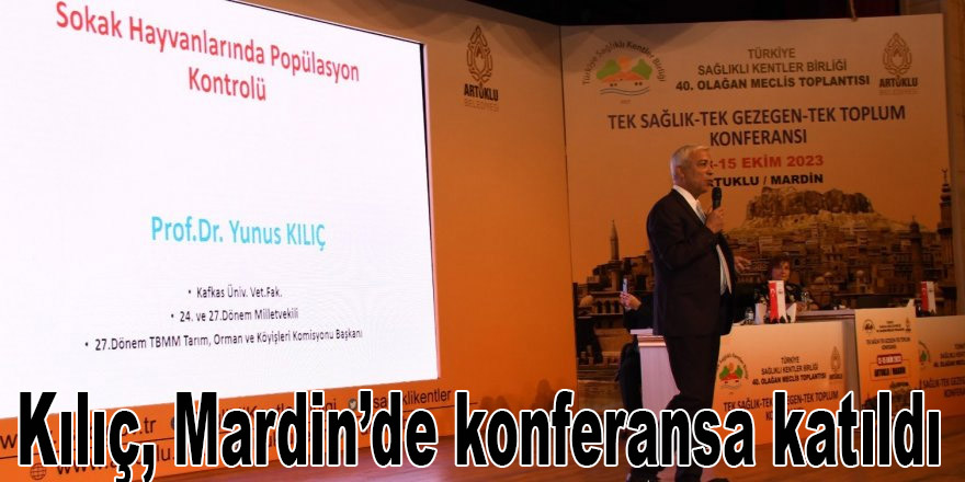 Prof. Dr. Yunus Kılıç, Mardin’de konferansa katıldı.