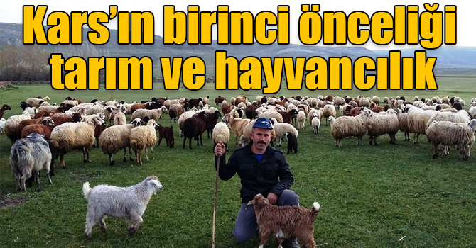 Kars’ın birinci önceliği tarım ve hayvancılık