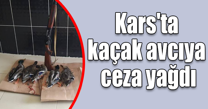 Kars'ta kaçak avcıya ceza yağdı